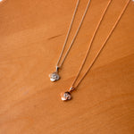 Load image into Gallery viewer, Minimalist Flora Necklace